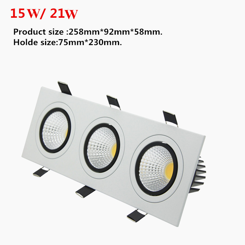 Dimmable Downlight (18)