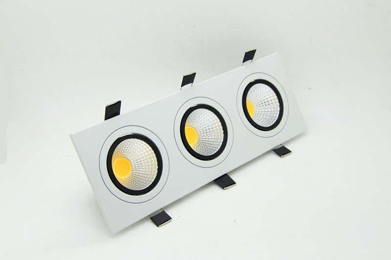 Dimmable Downlight (12)