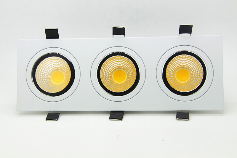 Dimmable Downlight (17)