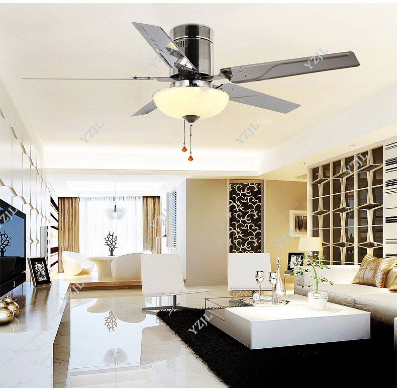 Ceiling Lights Fans