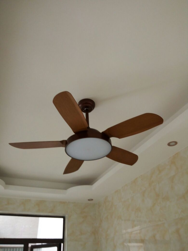 ceiling fan light 1