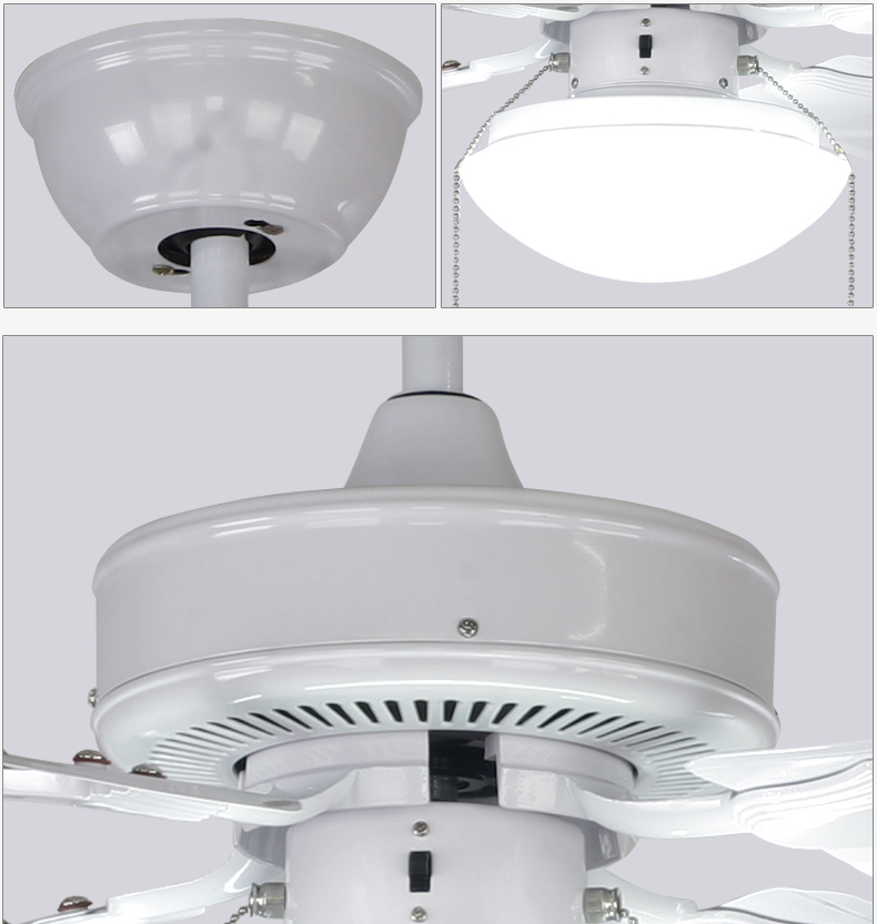 Led Illuminated Ceiling Fan Light Minimalism Modern Fan Lamp