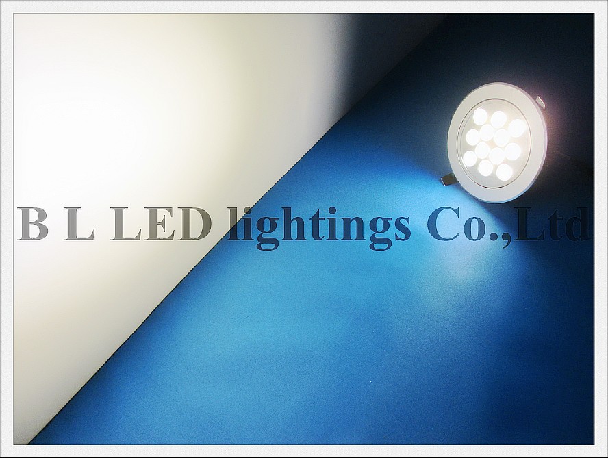 led ceiling light 12w (5)------ led tube module ceiling panel flood bulb light lamp ------