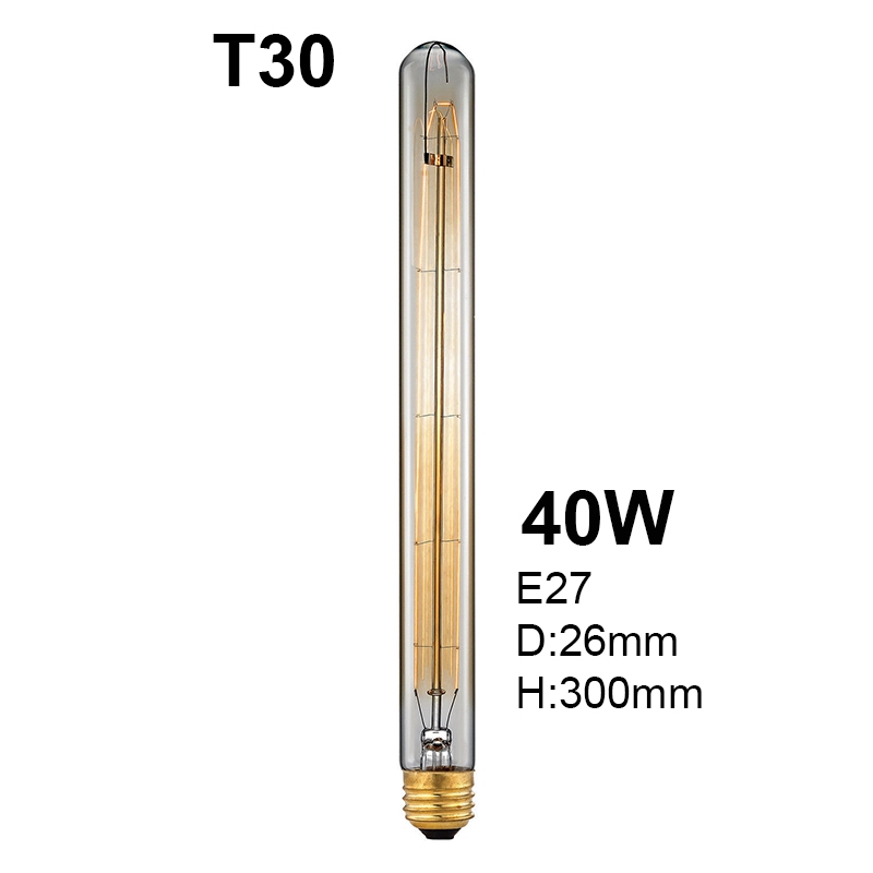 edison bulb (20)