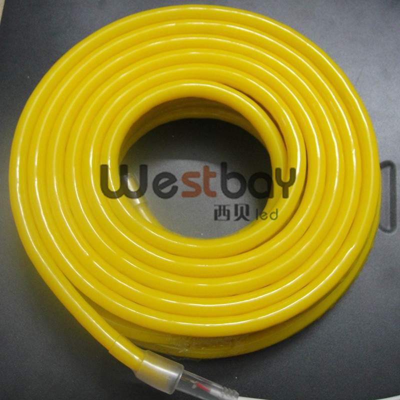 Mini led neon flex in color with 240V Europe socket