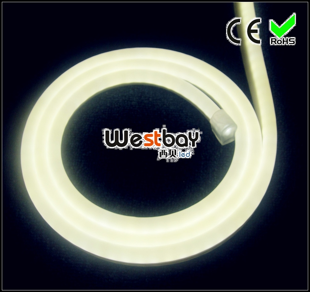 White led neon for sign.jpg