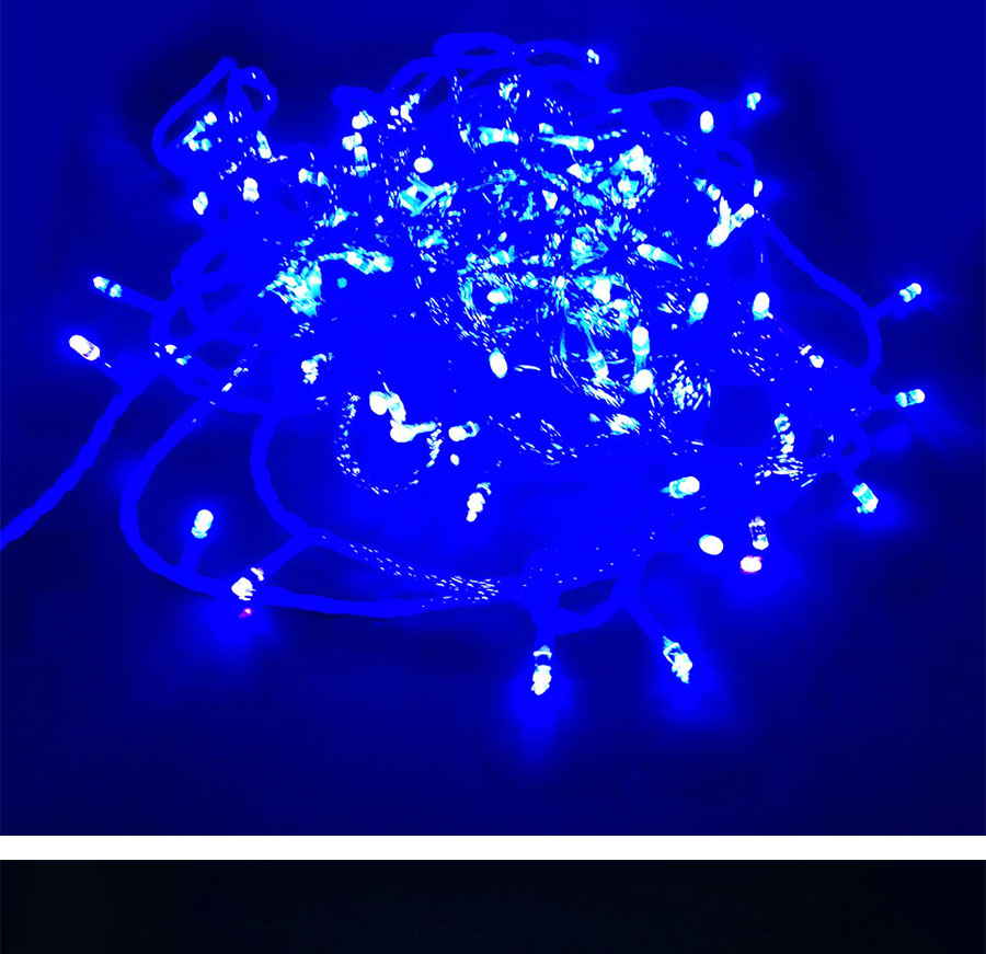 50M 100M Indoor Outdoor LED Strip String Light for Christmas Tree Holiday Garden Home Square Decoration AC 110V 220V Waterproof (10)