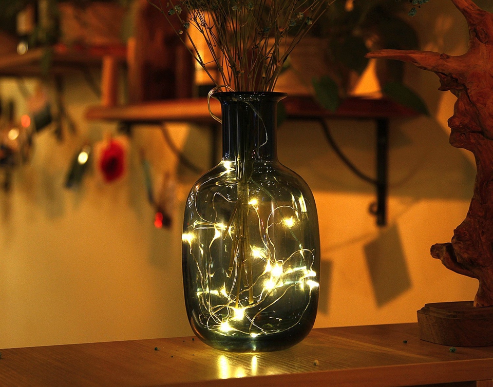 Holiday string lights (19)