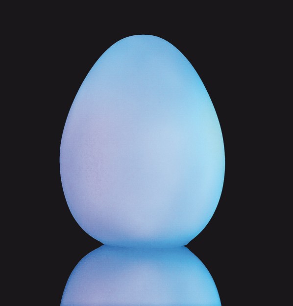 EGG1