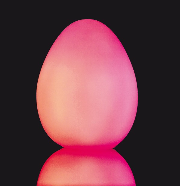 EGG3