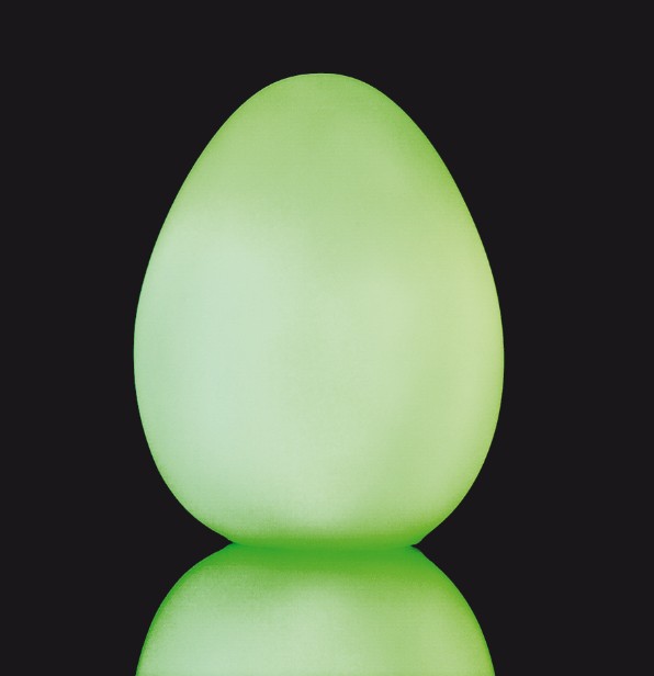 EGG2