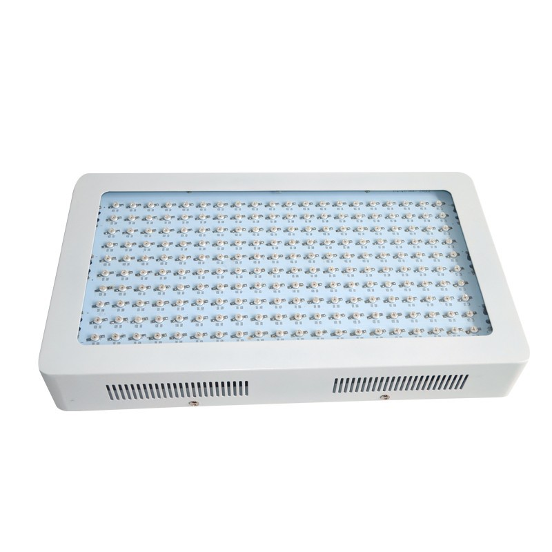 600W LED