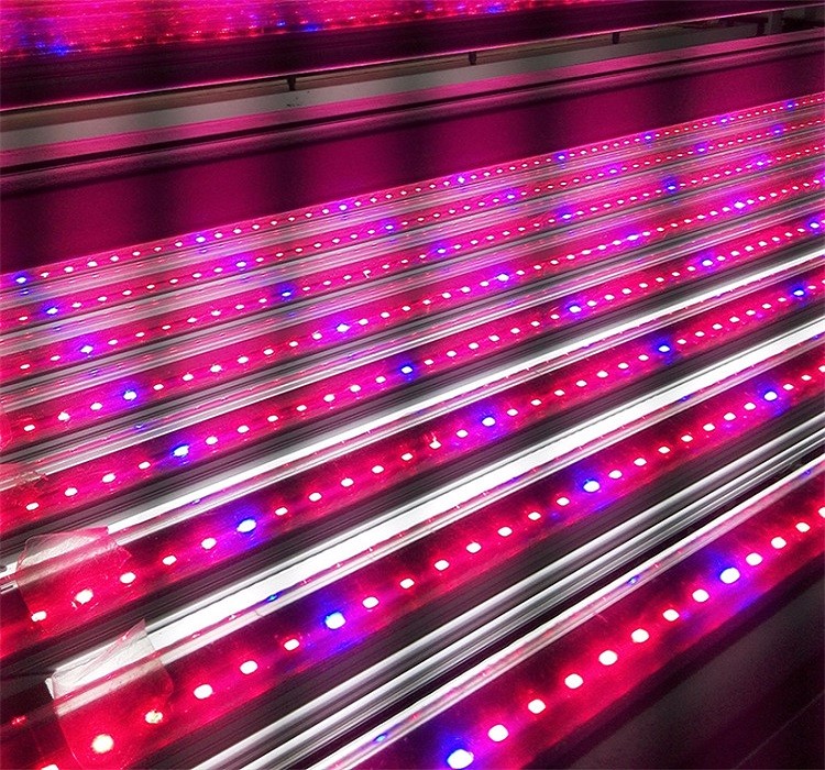 T8 led grow light tubes (10)