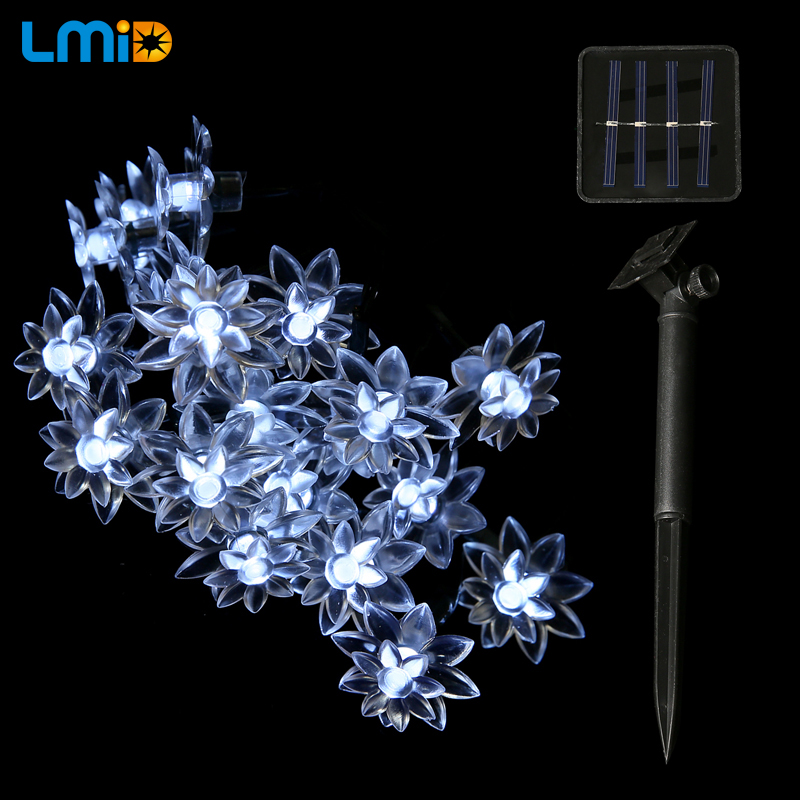 Solar LED Light (7)