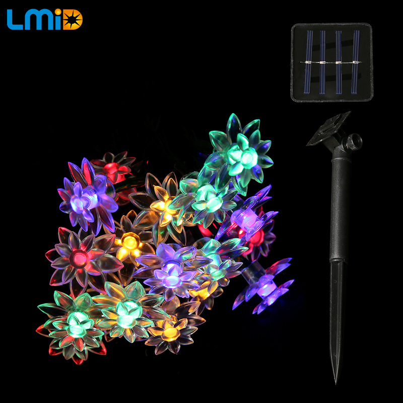 Solar LED Light (6)