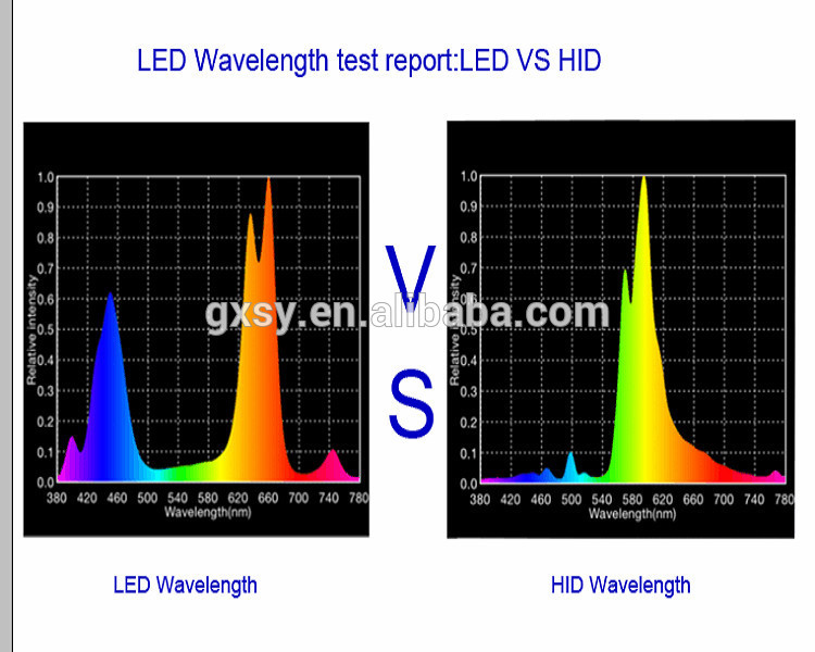 led vs H.jpg