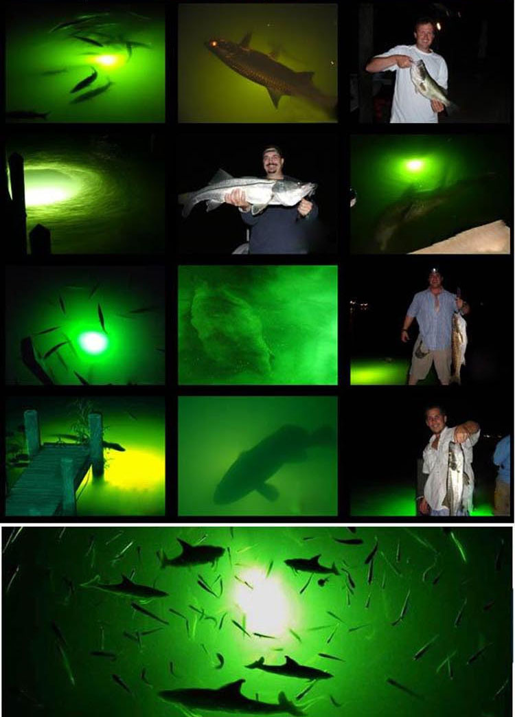 LED underwater fishing lures