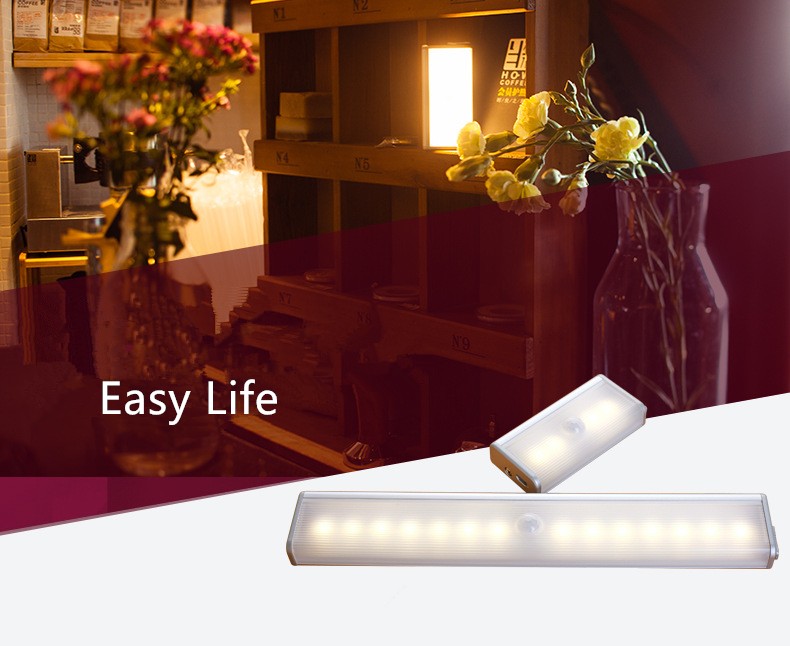 PIR Motion Sensor LED Night Light (4)