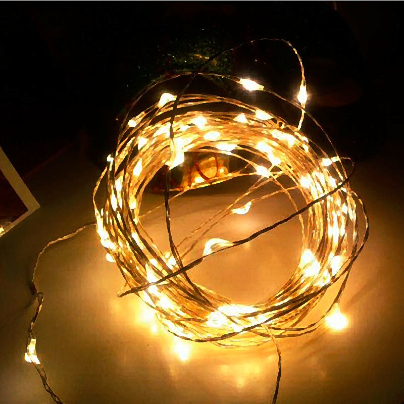 10M LED String Light