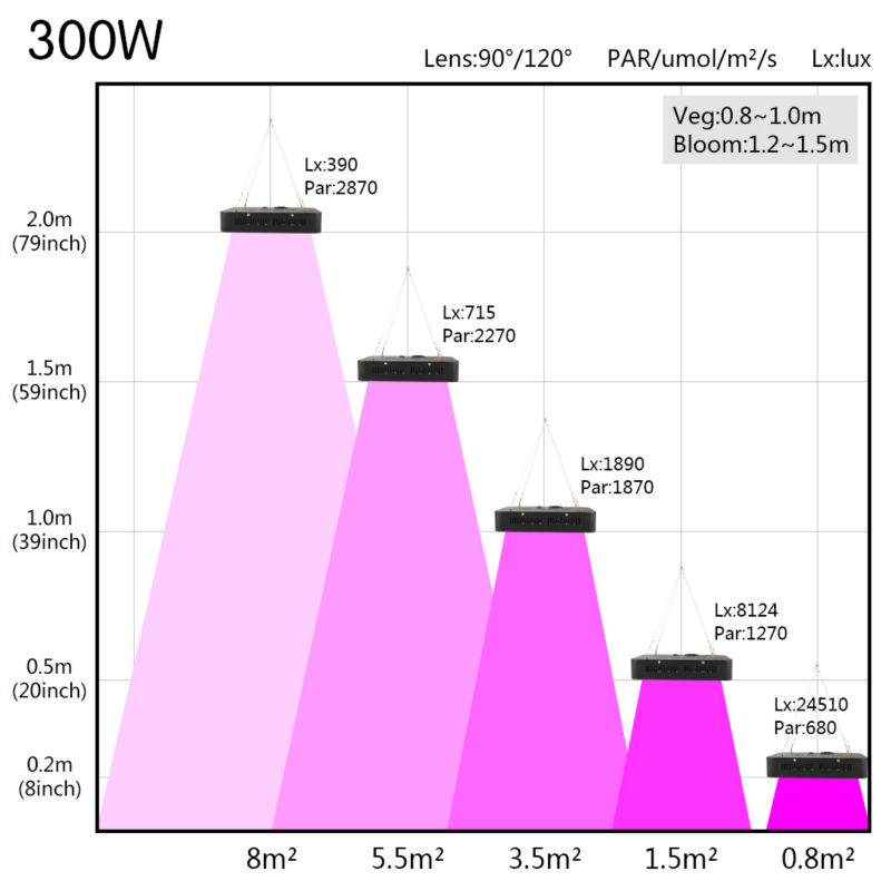 300w-2