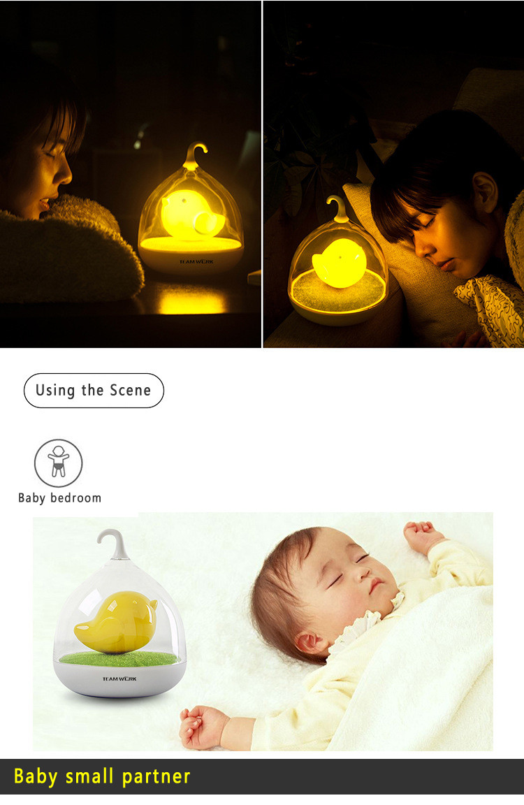 bird lamp night light (9)