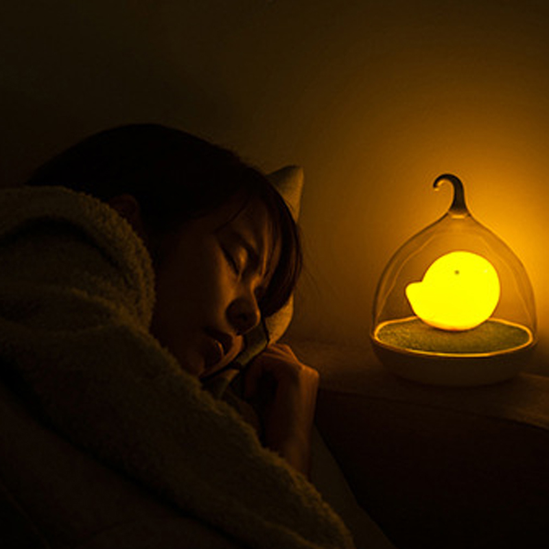 bird lamp night light (1)