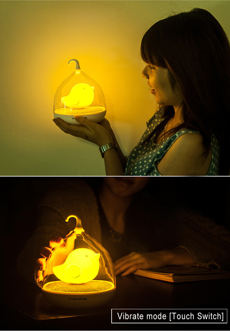 bird lamp night light (7)