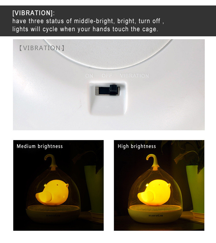 bird lamp night light (13)