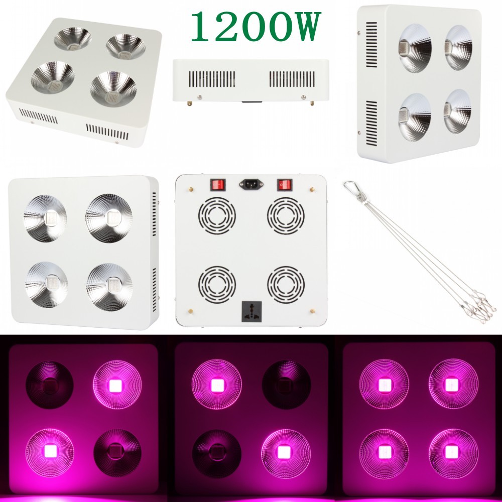 1200W (2)_conew1