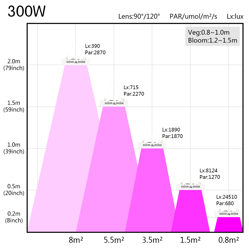 300w-