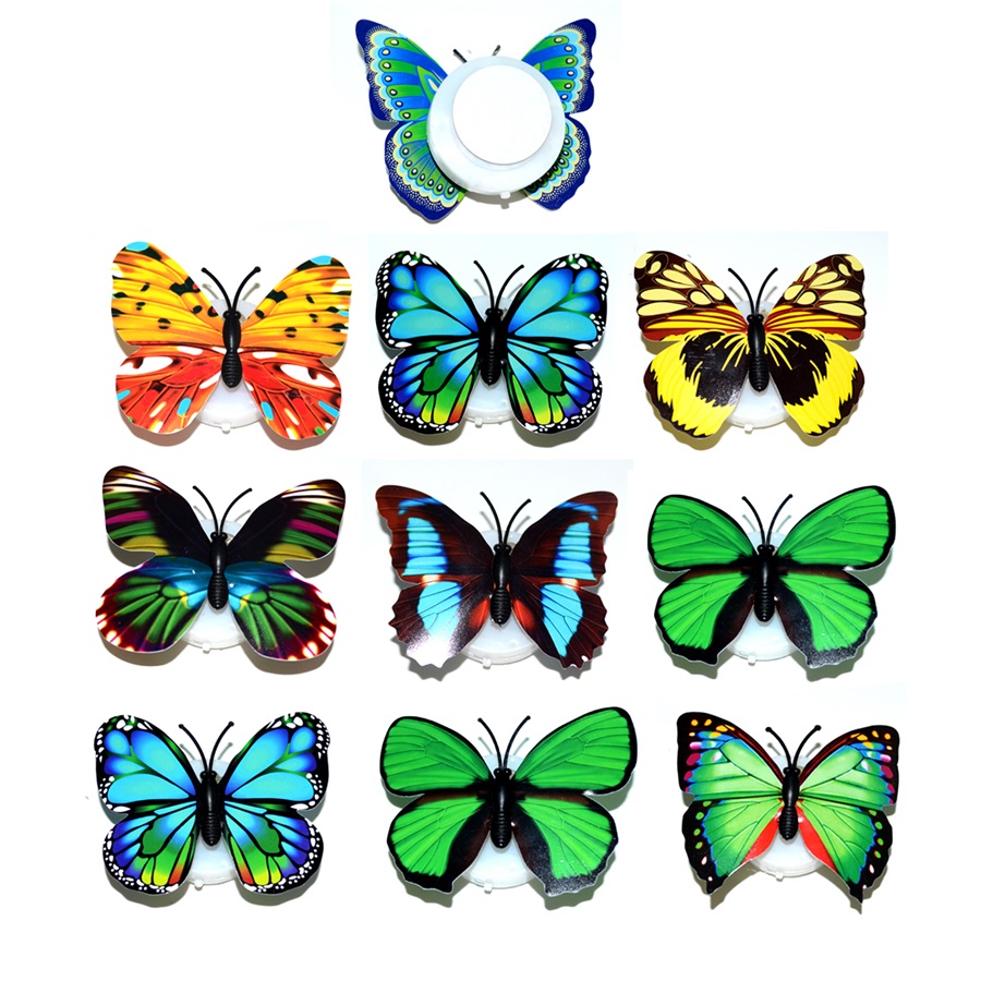 NL-Butterfly-RGB-12