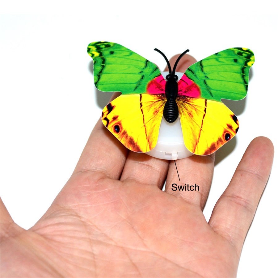 NL-Butterfly-RGB-7