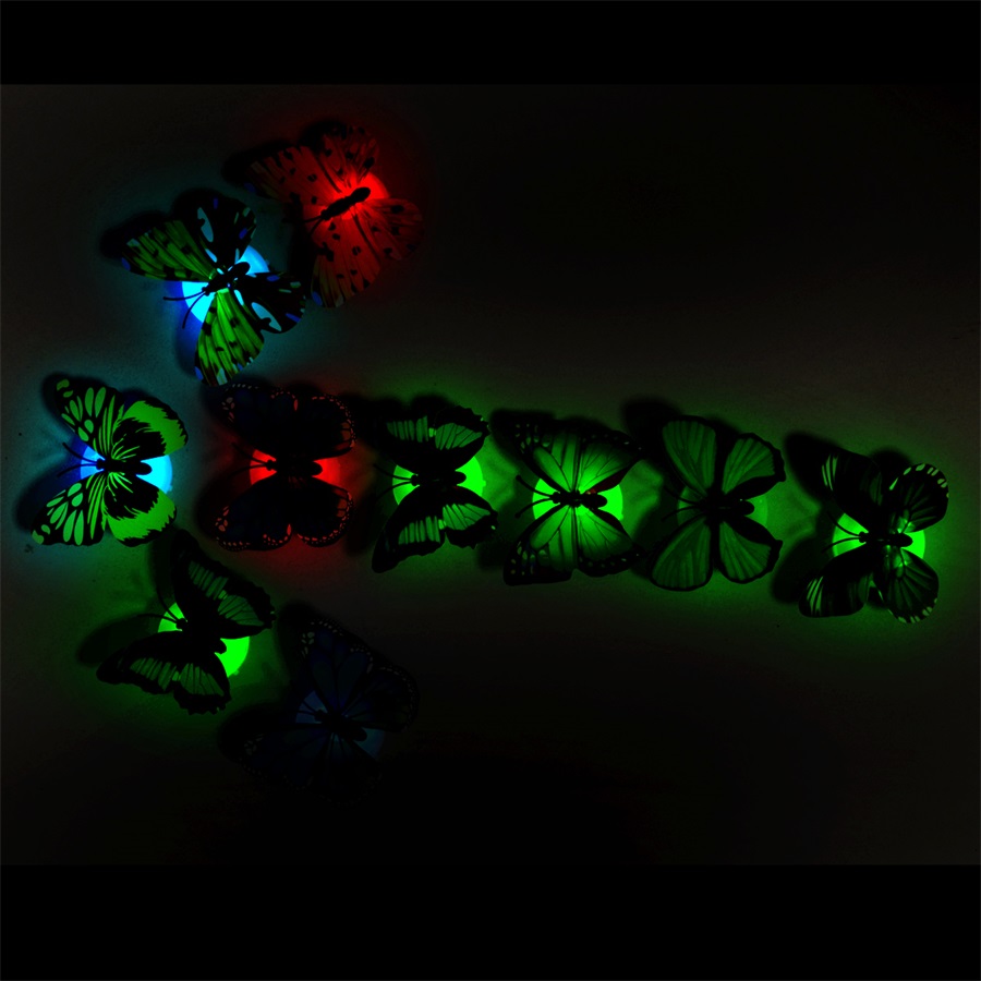 NL-Butterfly-RGB-4