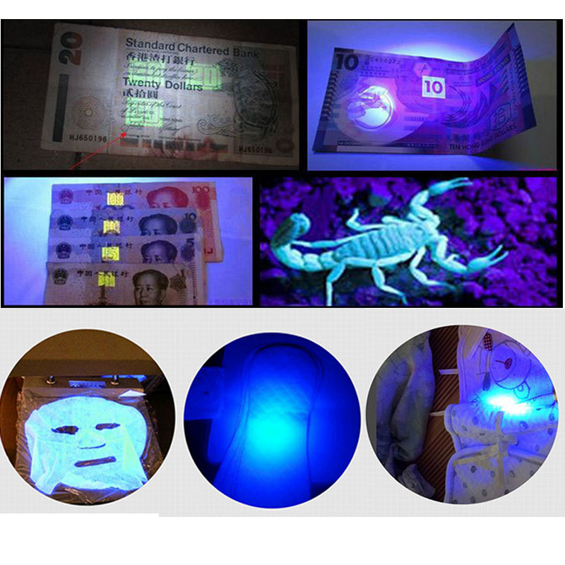 uv flashlight (9)