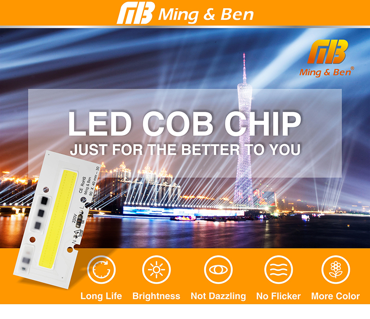 COB CHIP_01