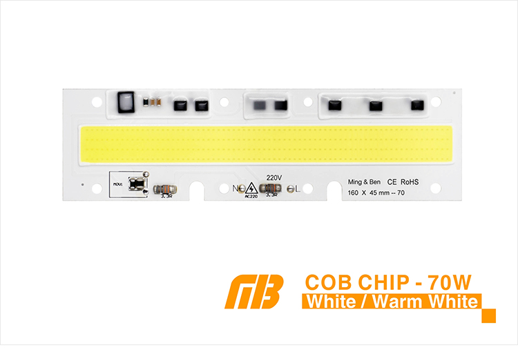 COB CHIP_04