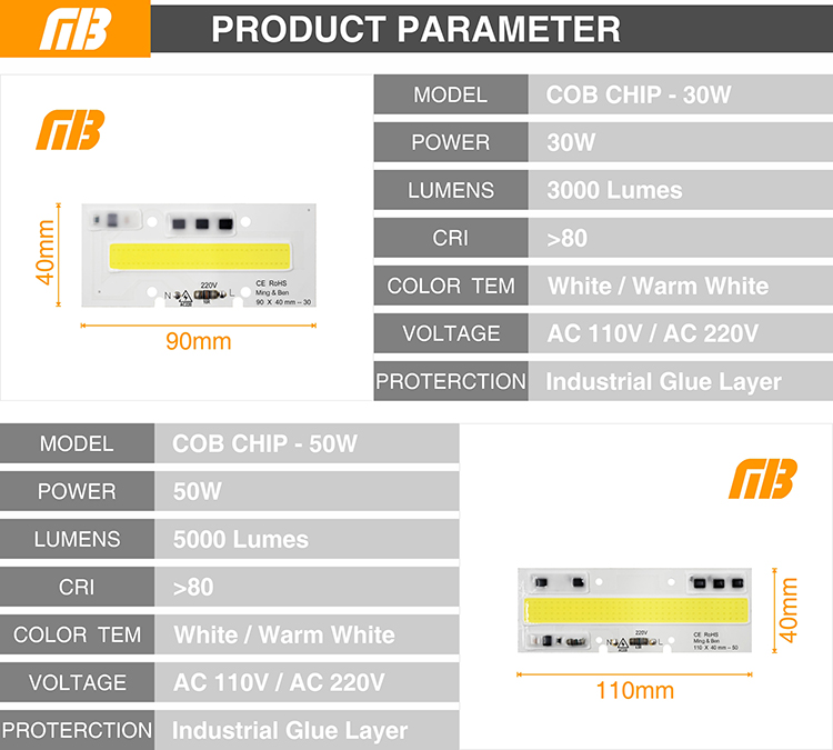 COB CHIP_13