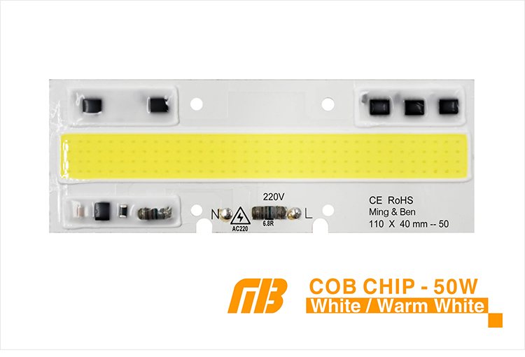 COB CHIP_03