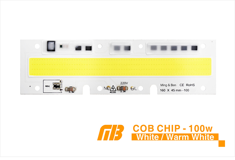 COB CHIP_05