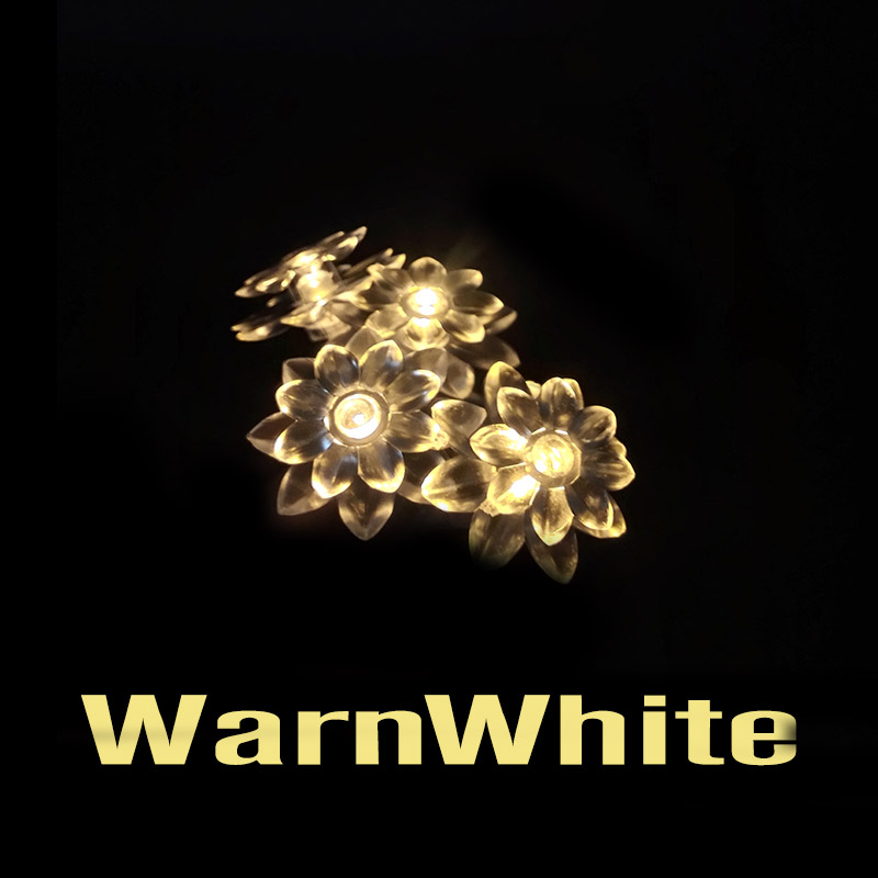 WarnWhite