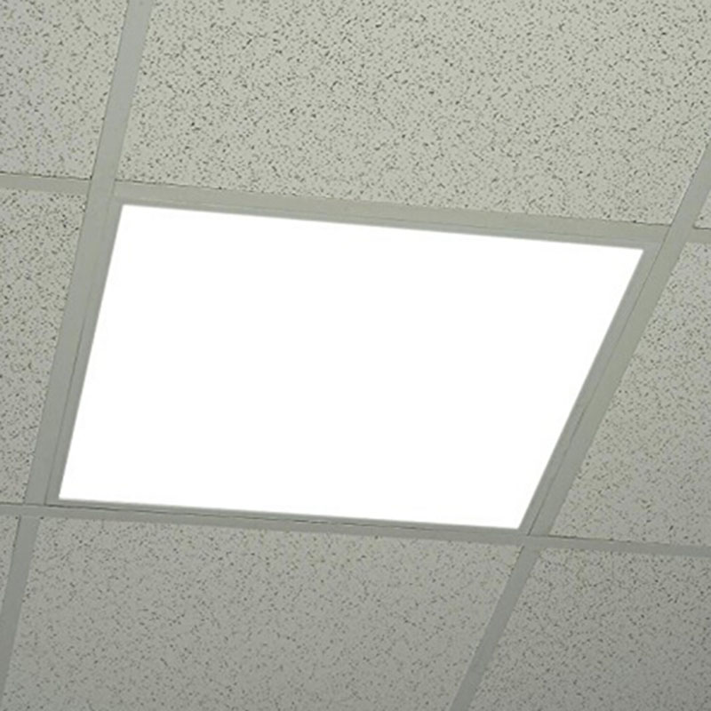 panel7