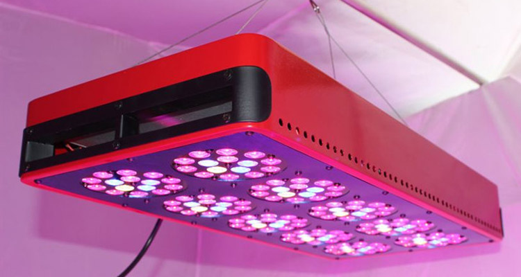 JCBritw-Apollo-10-LED-Grow-Light-11