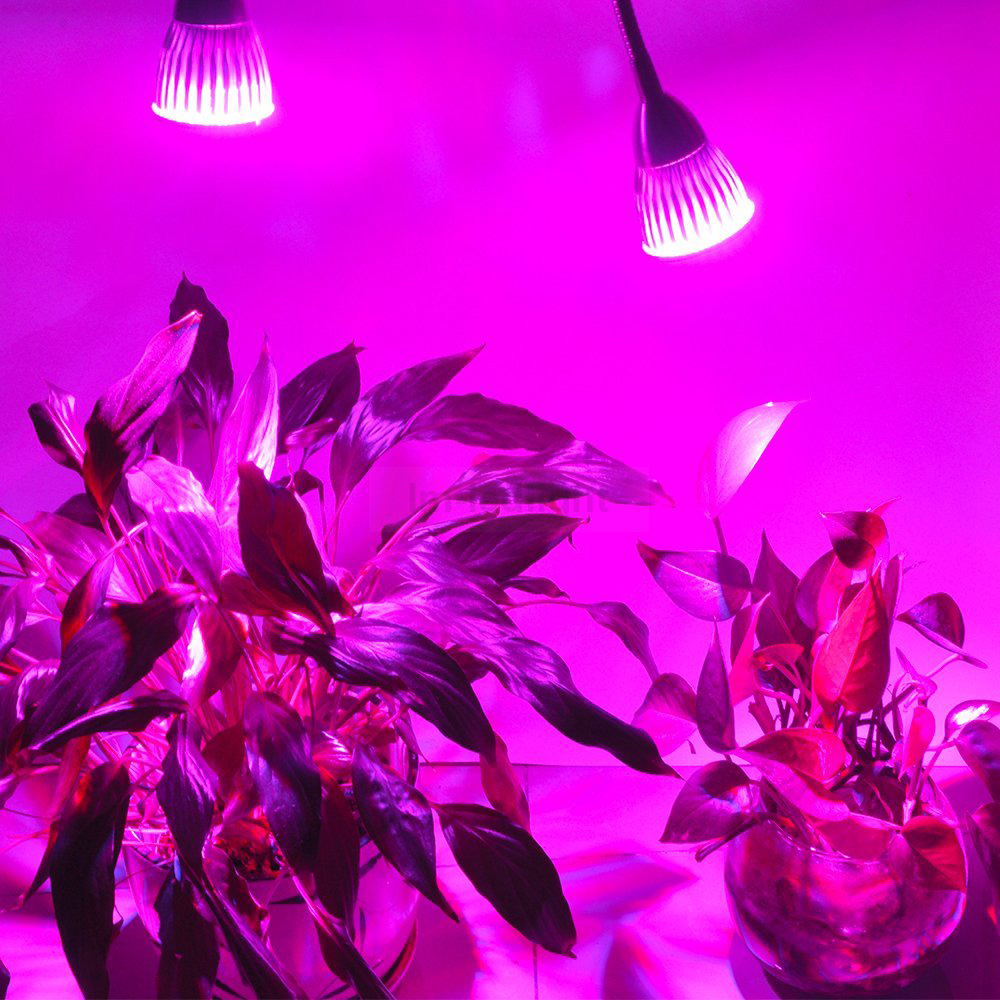 dual led grow light with clip (17)