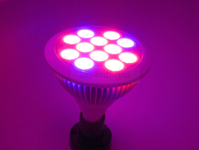 LED grow light (35)