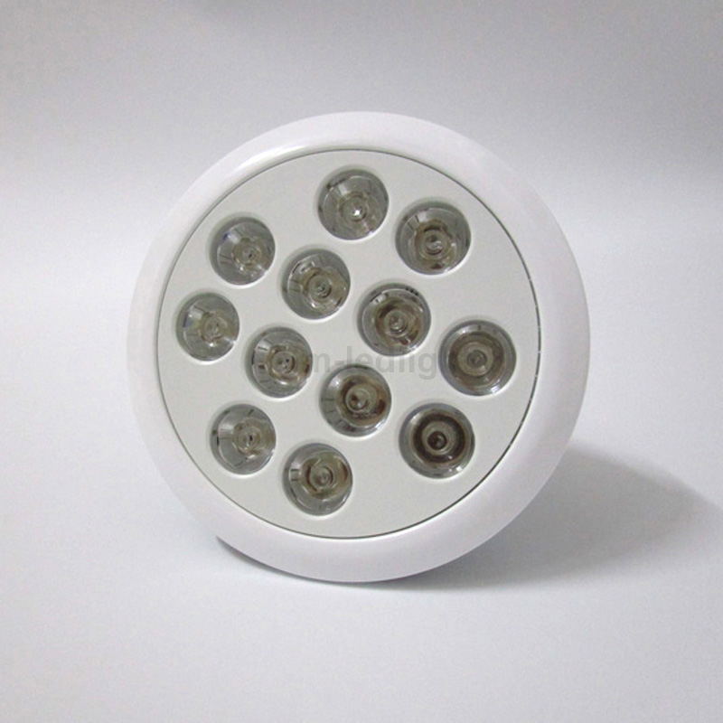 LED grow light (21)