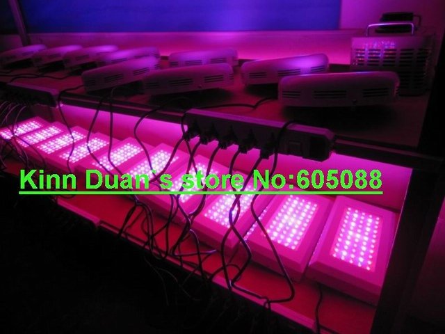  200w led grow light.jpg