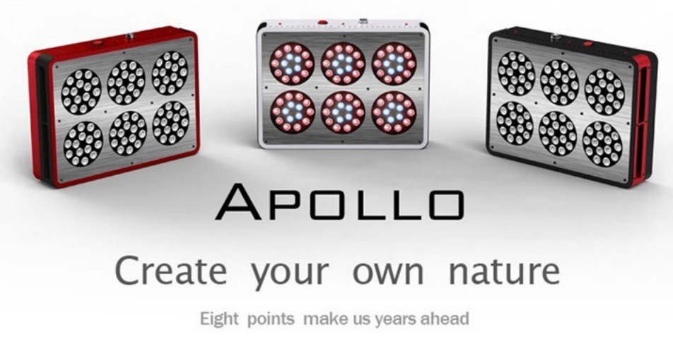 apollo