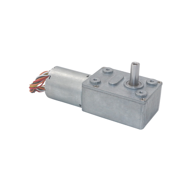 12V 24V Brusheless Worm Gear DC Motor Adjustable BLDC Gearmotor with Encoder