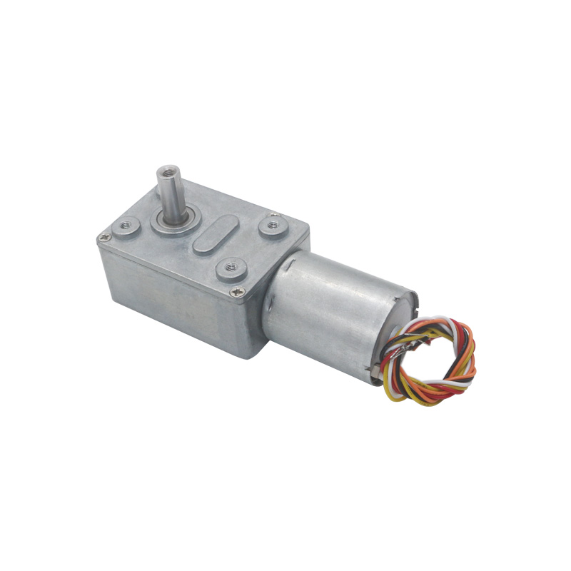 12V 24V Brusheless Worm Gear DC Motor Adjustable BLDC Gearmotor with Encoder