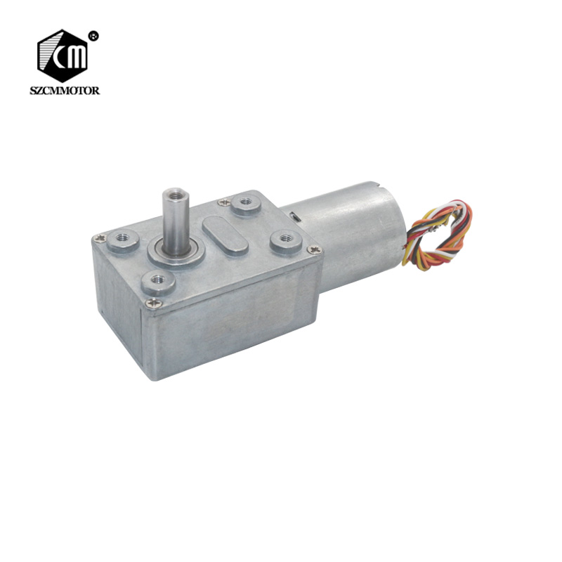 12V 24V Brusheless Worm Gear DC Motor Adjustable BLDC Gearmotor with Encoder